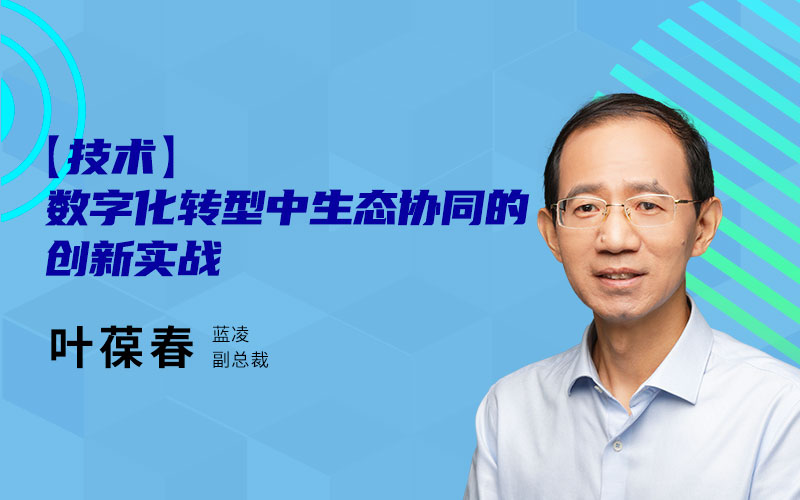 深圳蓝凌软件 叶葆春 - 数字化转型中生态协同的创新实战