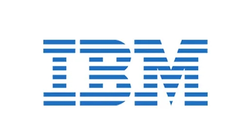 IBM 的数据治理流程