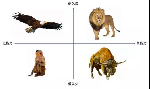 面对数字化转型，你是狮子、老鹰、野牛还是猴子？