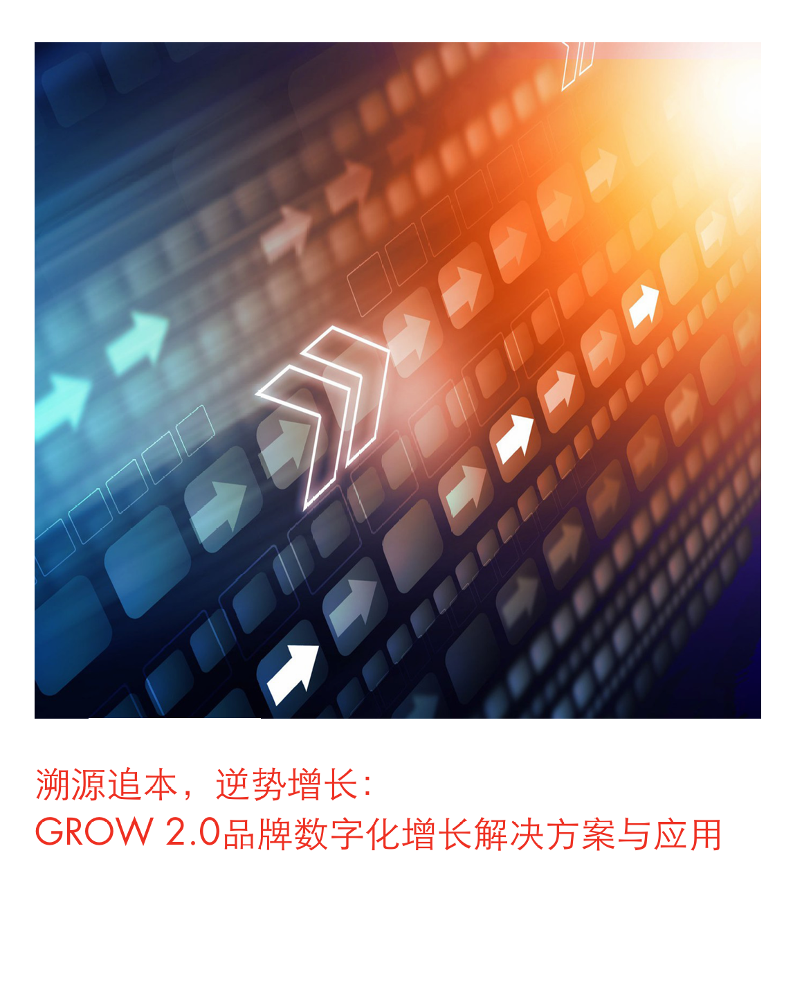 阿里妈妈：溯源追本逆势增长：GROW2 - 锦囊专家官网 - 数字经济智库平台